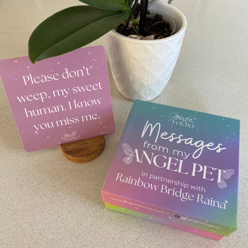 Pet Loss Sympathy Cards - Messages from My Pet Angel