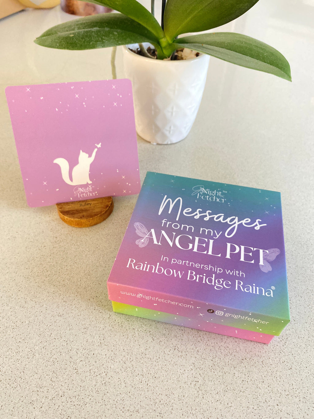 Pet Loss Sympathy Cards - Messages from My Pet Angel