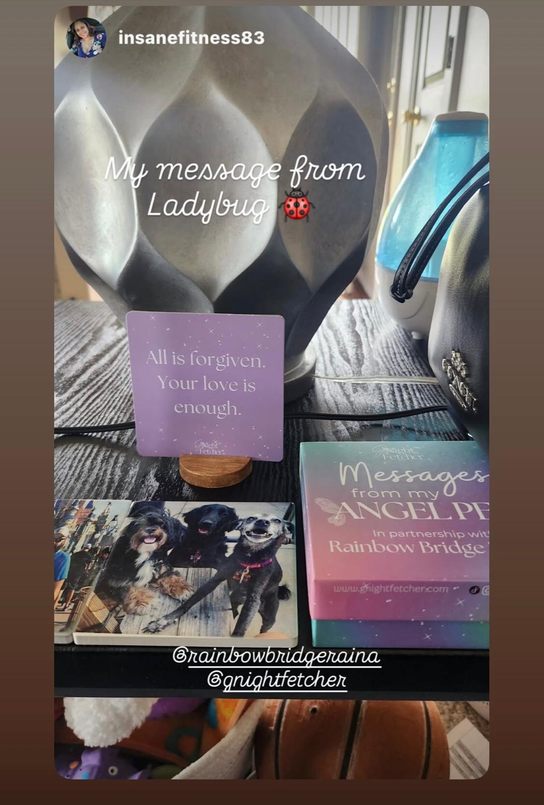 Pet Loss Sympathy Cards - Messages from My Pet Angel