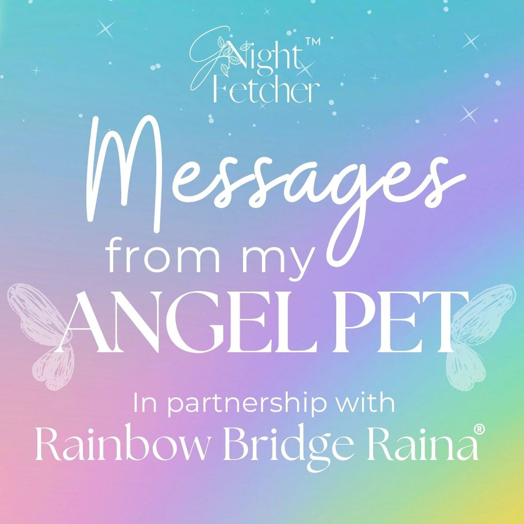 Pet Loss Sympathy Cards - Messages from My Pet Angel