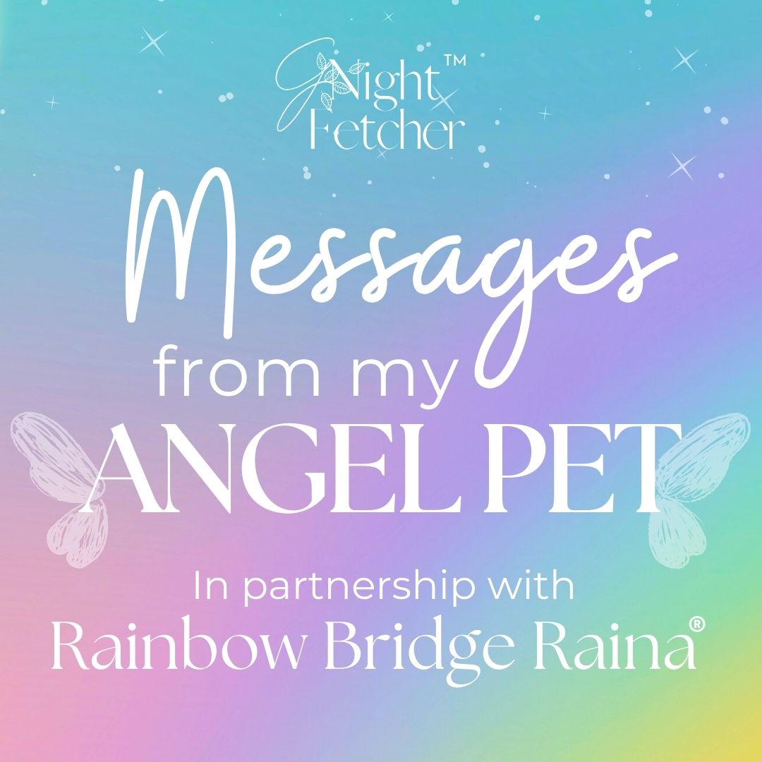 Pet Loss Sympathy Cards - Messages from My Pet Angel